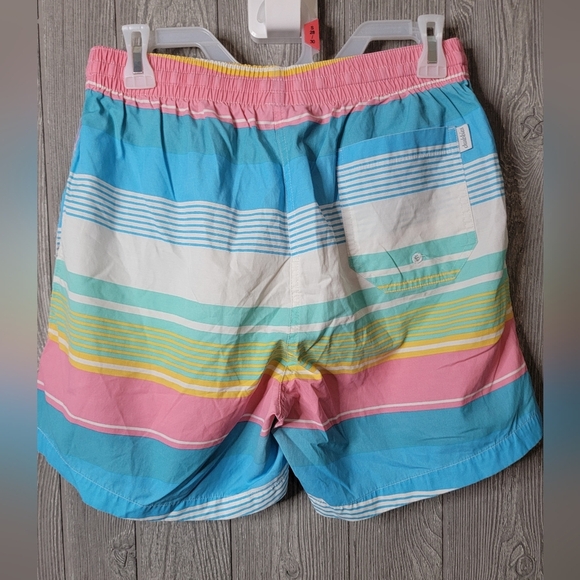 Chubbies Multicolor Striped Men's Swim Trunks - Picture 2 of 4